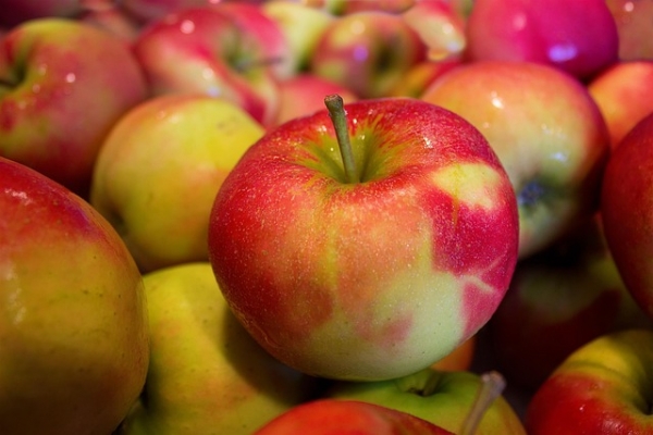 Apple Bagging THIS Sunday, September 8