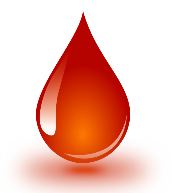 Abundant Blood Drive