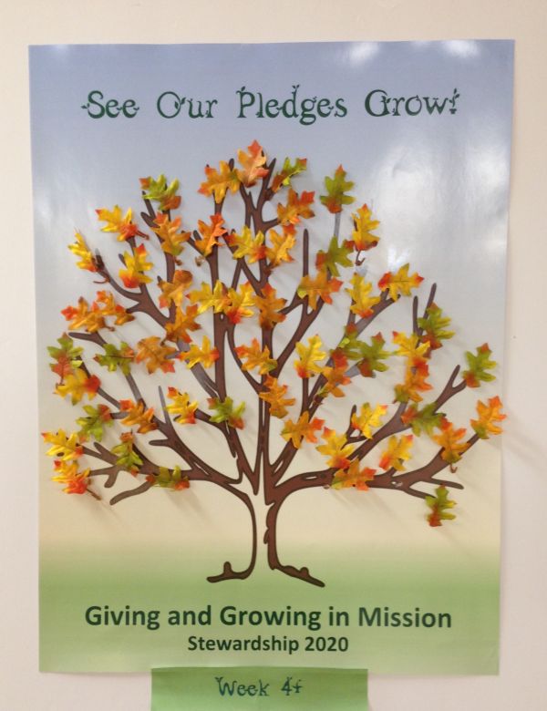 Giving and Growing in Mission 2020